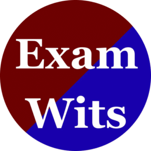 Picture of Exam Wits